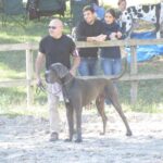 IMG_1109 IMG_1109