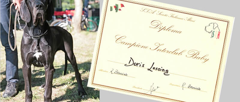 Cachorro campeón Interclub de Doris Lessing